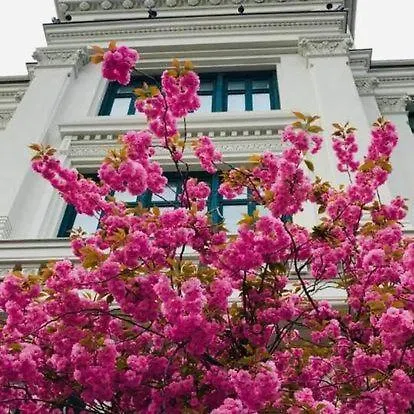 New High Standard Next To The Royal Castle/harbor In 奥斯陆